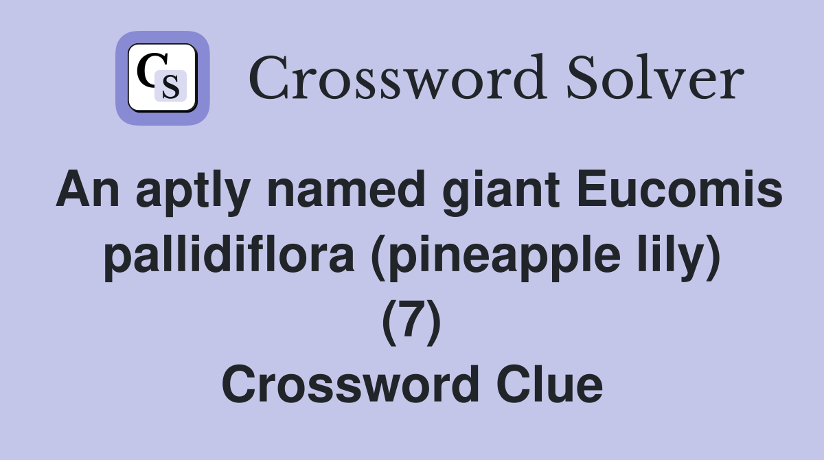 An aptly named giant Eucomis pallidiflora (pineapple lily) (7